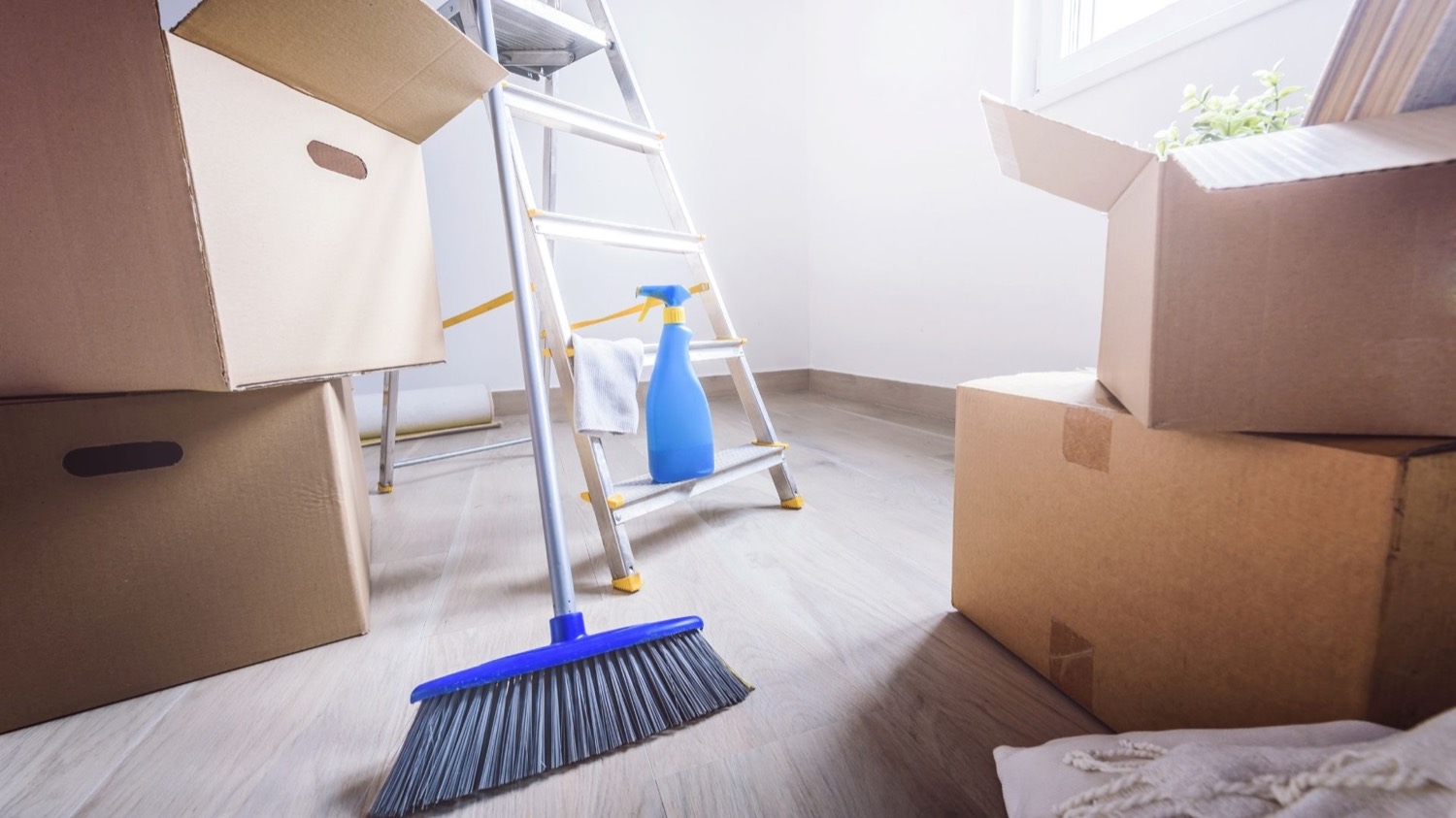 Move-out cleaning boxes in Williamsburg VA